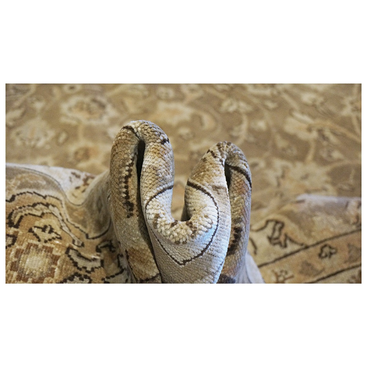 Antique Persian Tabriz 10X13 Brown and Tan Area Rug #9902389 image 4