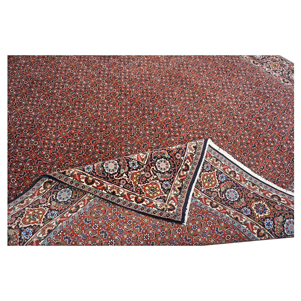 Persian Bijar Wool 8x11 Red, Ivory & Black Handmade Area Rug #9901158