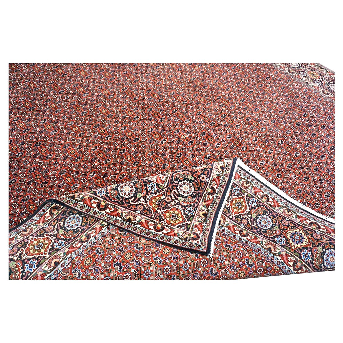 Persian Bijar Wool 8x11 Red, Ivory & Black Handmade Area Rug #9901158