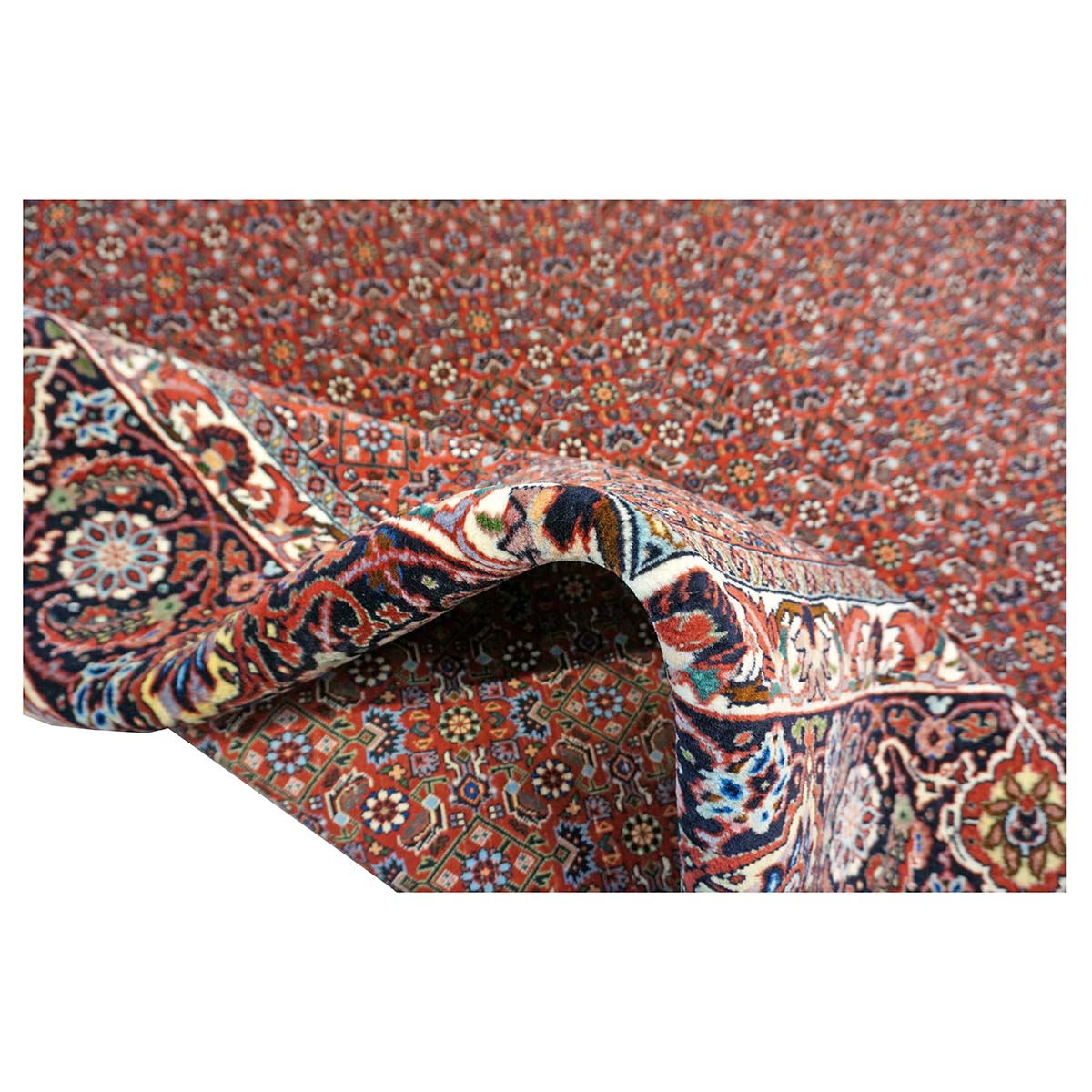 Persian Bijar Wool 8x11 Red, Ivory & Black Handmade Area Rug #9901158