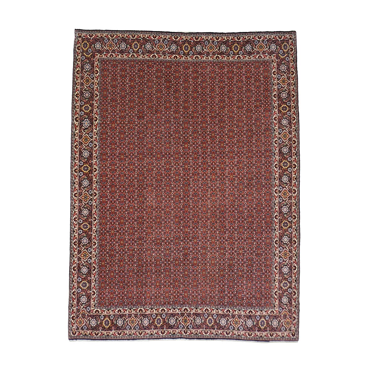 Persian Bijar Wool 8x11 Red, Ivory & Black Handmade Area Rug #9901158