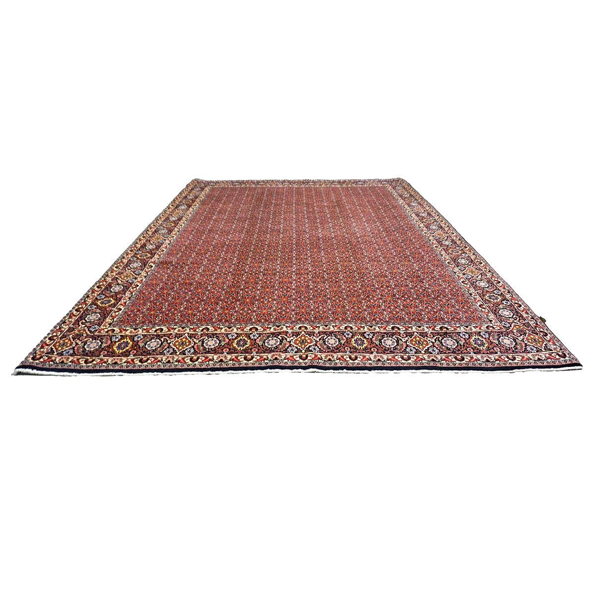 Persian Bijar Wool 8x11 Red, Ivory & Black Handmade Area Rug #9901158